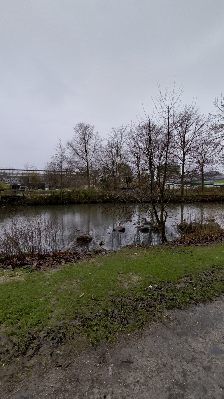 Huzur - Ententeich in Wilhelmsburg